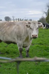 Landbouwinnovatie in de grensregio