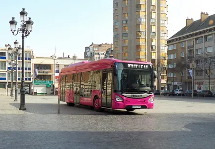 Les transports publics par bus dans la région frontalière