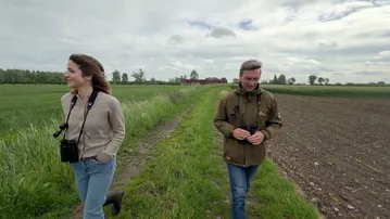 Oiseaux protégés d’un côté, chassés de l’autre